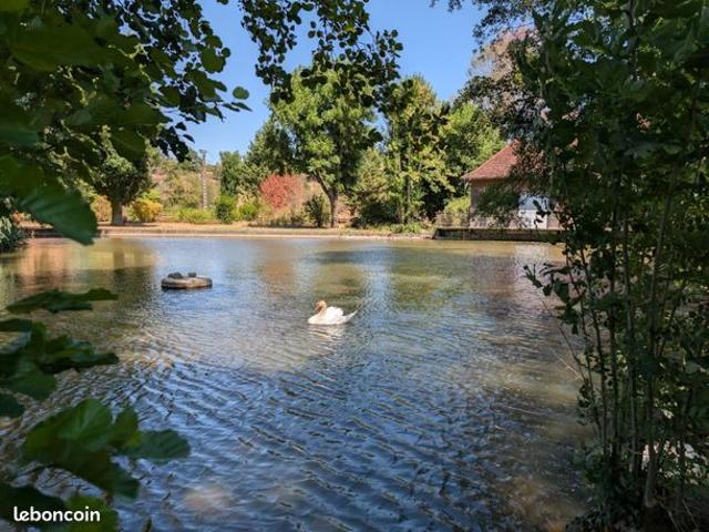 Propriété 11 pièces 345 m²