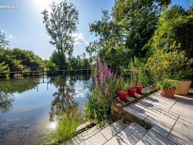 Propriété 11 pièces 338 m²