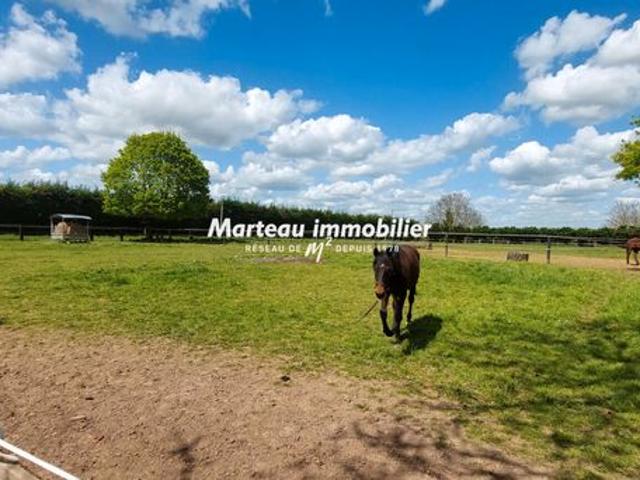 Propriété 11 pièces 808 m²