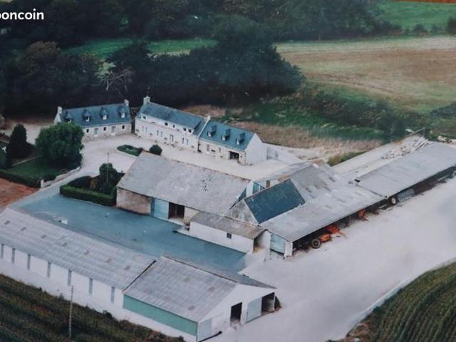 Propriété 12 pièces 239 m²
