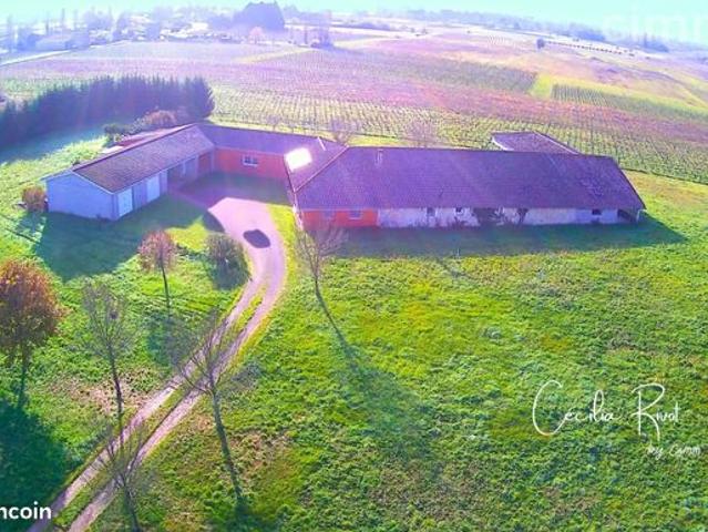 Propriété 12 pièces 370 m²