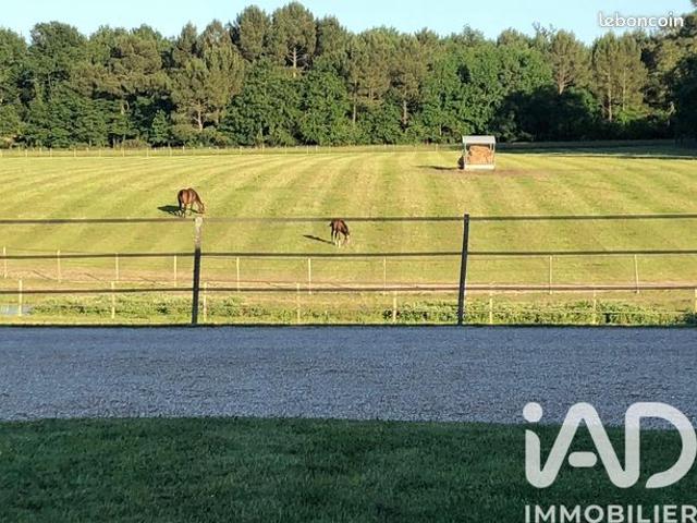 Propriété 12 pièces 371 m²