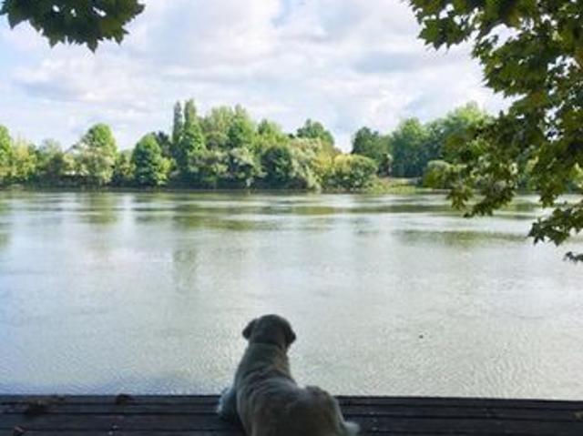 Propriété 12 pièces 387 m²