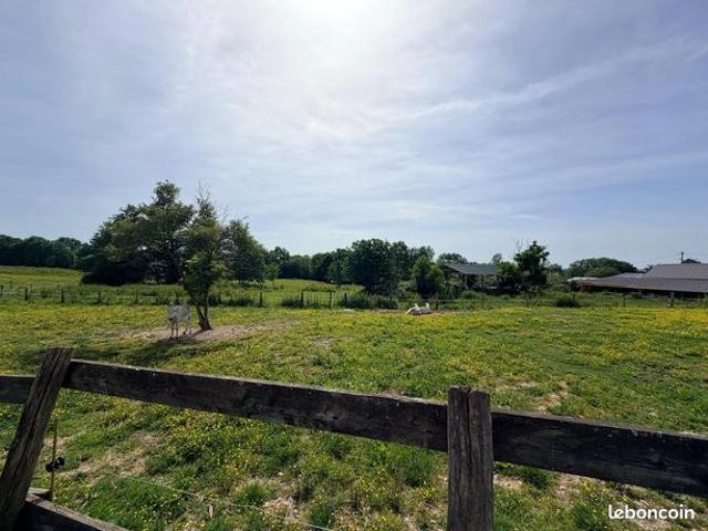 Propriété 12 pièces 300 m²