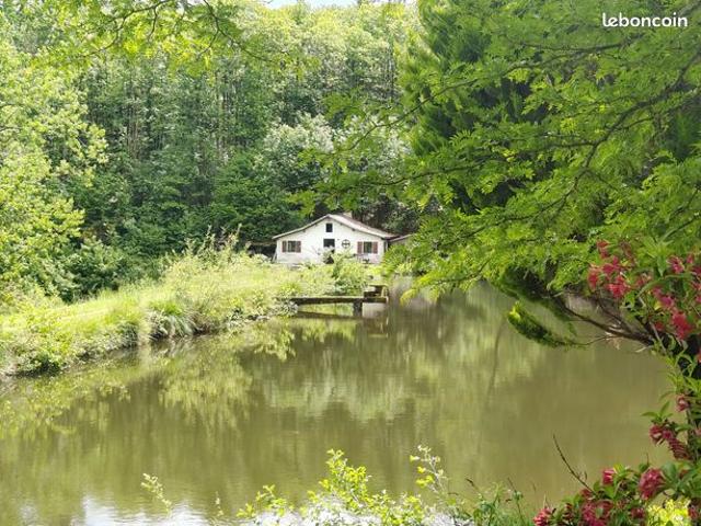 Propriété 12 pièces 42 m²