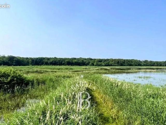 Propriété 1330000 m² Mionnay