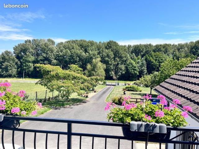 Propriété 13 pièces 296 m²