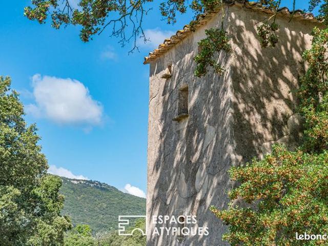 Propriété 13 pièces 590 m²