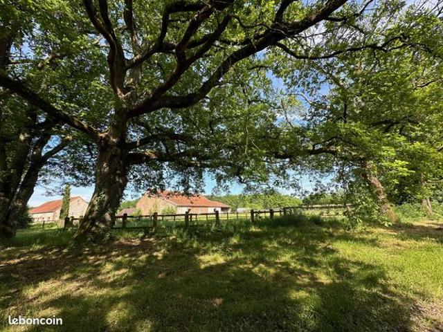 Propriété 14 pièces 240 m²