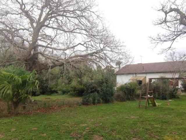 Propriété 14 pièces 260 m²
