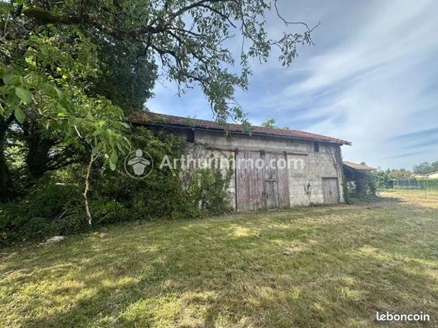 Propriété 1 pièce 96 m²