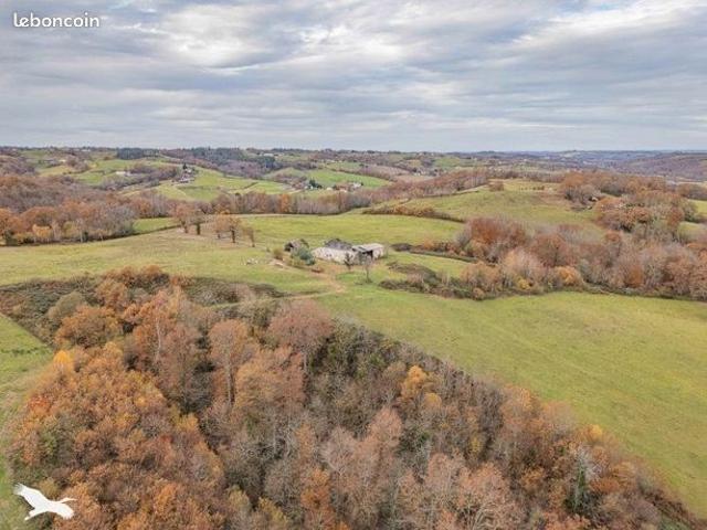 Propriété 1 pièce 230 m²