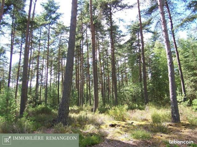 Propriété 202 m² Romorantin Lanthenay