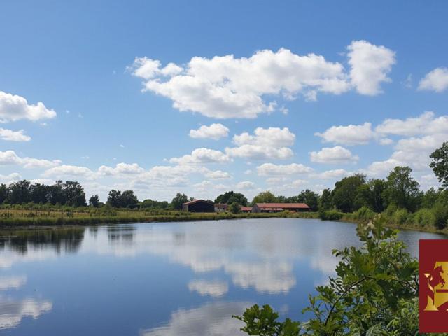 Propriété 21 hectares 2 habitations 648m² Neuville Les Dames