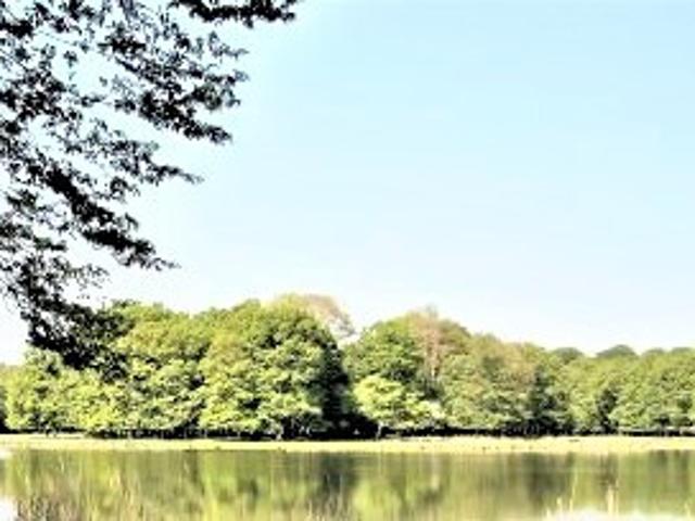 Propriété avec jardin