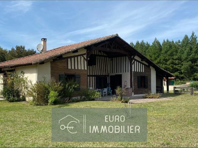 Propriété 2 habitations Maison Landaise Piscine Ecur. 245m² Luxey