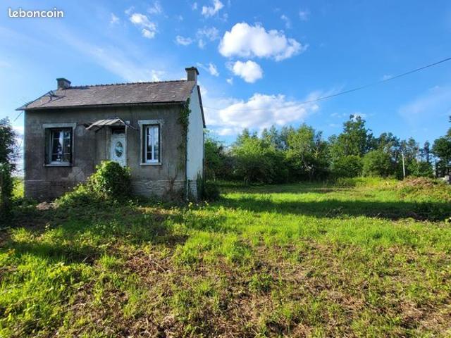Propriété 2 pièces 31 m²