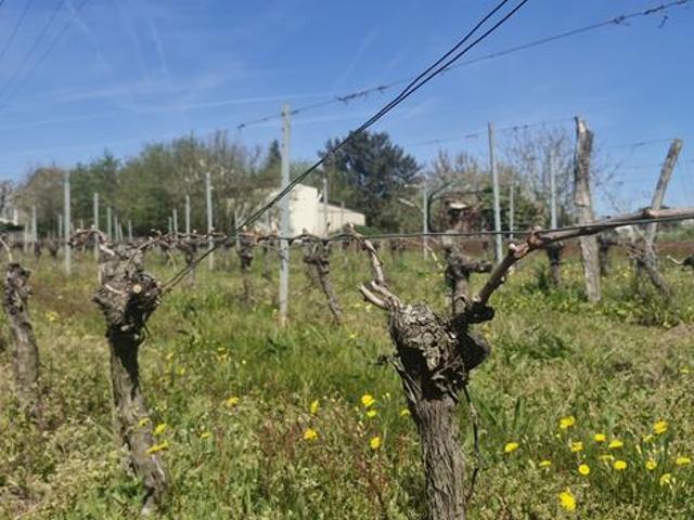 Propriété 7 pièces 147 m²