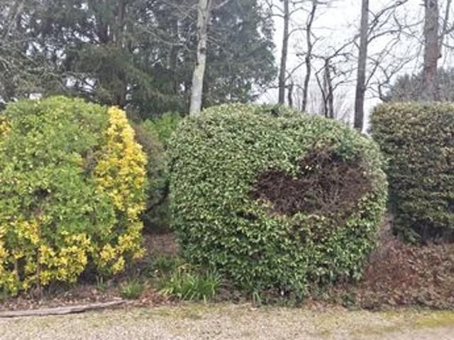 Propriété 7 pièces 157 m²