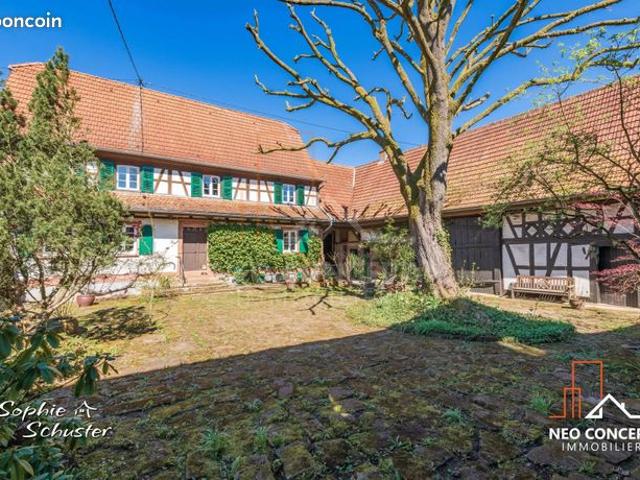 Propriété 7 pièces 164 m²