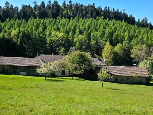 Propriété 7 pièces 180 m²