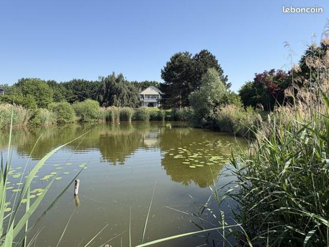 Propriété 7 pièces 260 m²