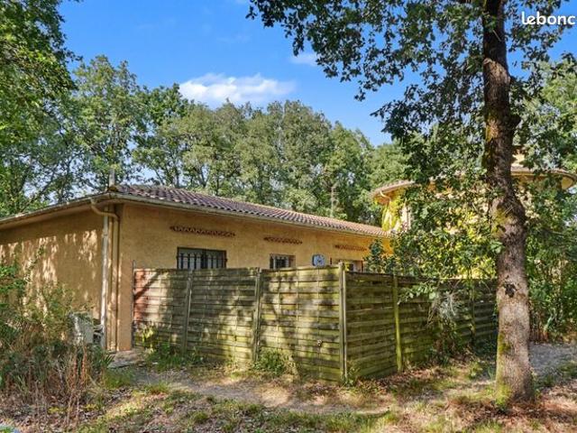 Propriété 7 pièces 225 m²