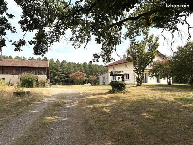 Propriété 7 pièces 223 m²
