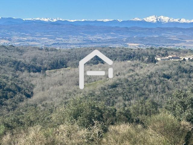 Propriété 42 hectares