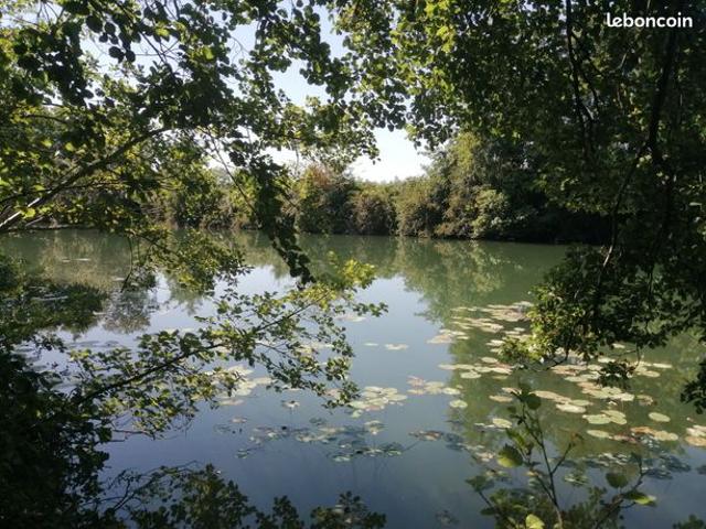 Propriété 4 pièces 100 m²