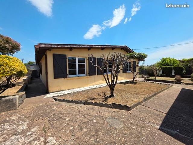 Propriété 4 pièces 113 m²