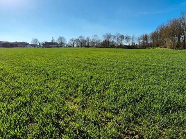 Propriété 4 pièces 309 m²