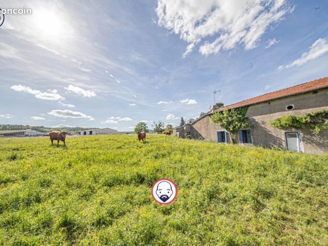 Propriété 5 pièces 115 m²