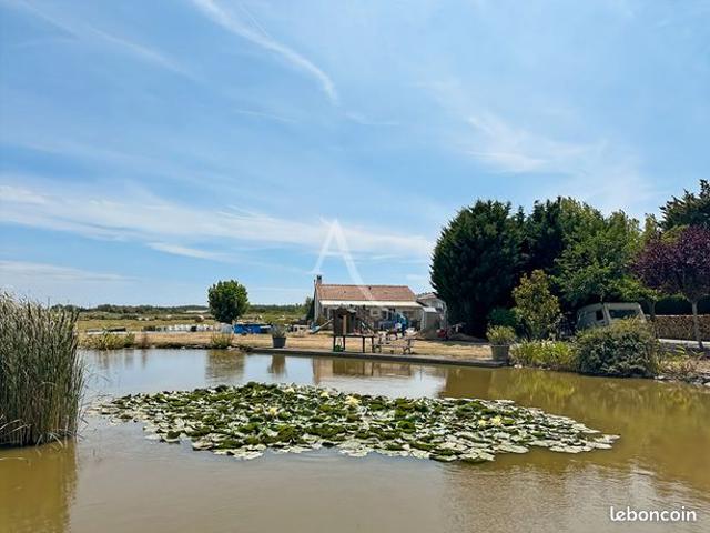 Propriété 5 pièces 134 m²