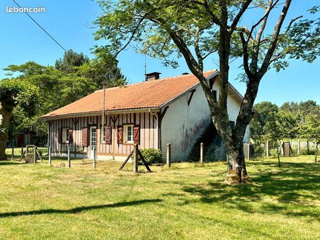 Propriété 5 pièces 90 m²
