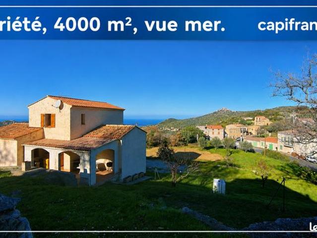 Propriété 6 pièces 130 m²