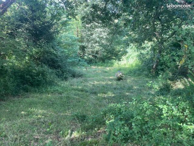 Propriété 6 pièces 130 m²