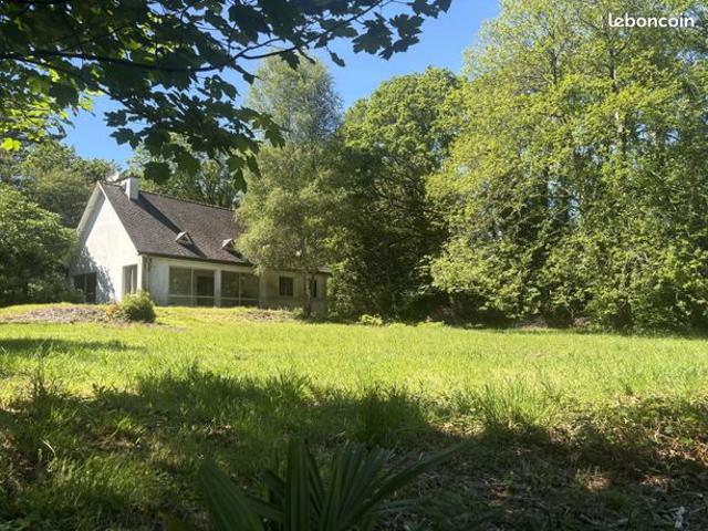 Propriété 6 pièces 146 m²