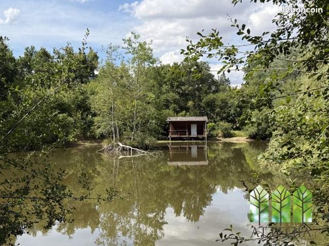 Propriété 6 pièces 150 m²