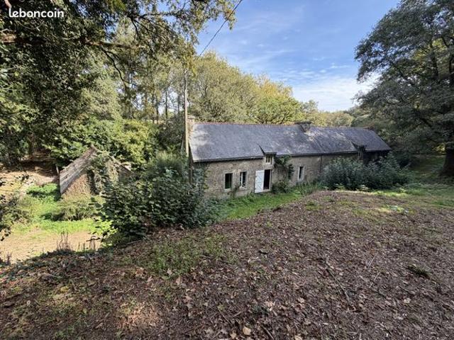 Propriété 6 pièces 167 m²