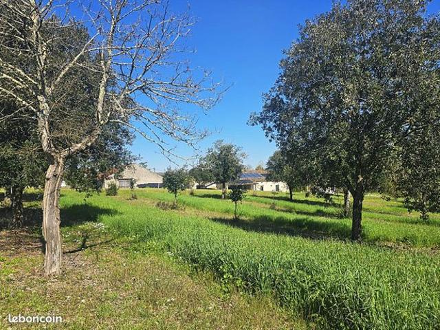 Propriété 6 pièces 173 m²