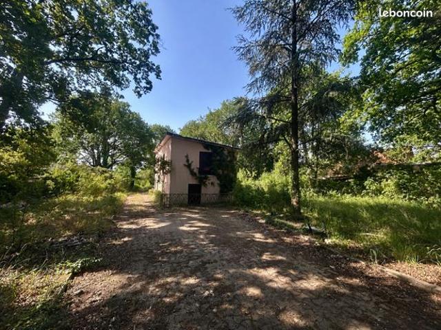 Propriété 6 pièces 180 m²
