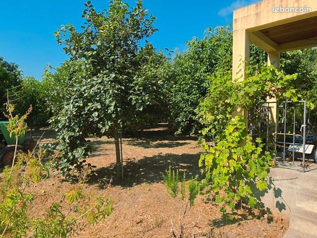 Propriété 6 pièces 217 m²