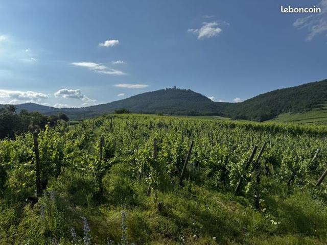 Propriété 6 pièces 256 m²