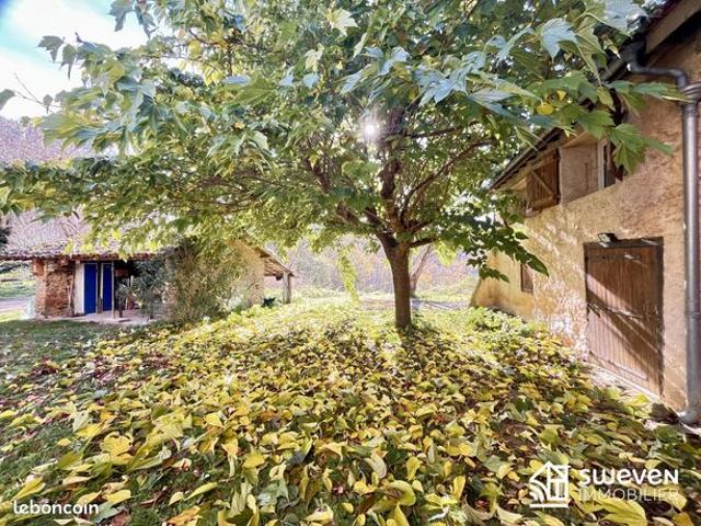 Propriété 6 pièces 270 m²