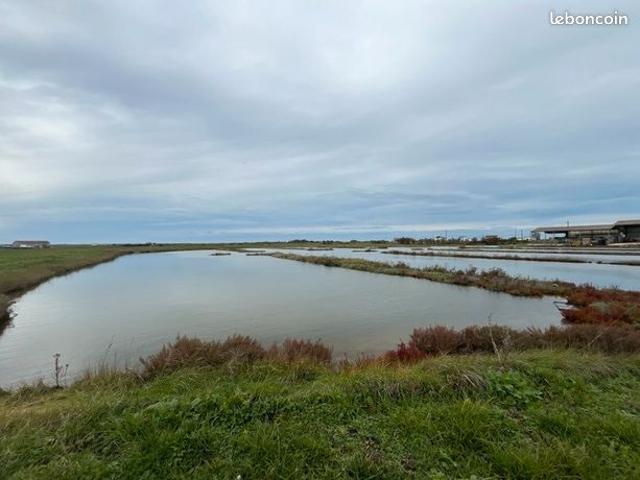 Propriété 85 m² Nieulle Sur Seudre