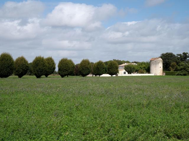 Propriété 8 pièces