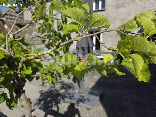 Propriété 8 pièces 141 m²