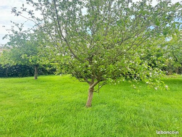 Propriété 8 pièces 170 m²
