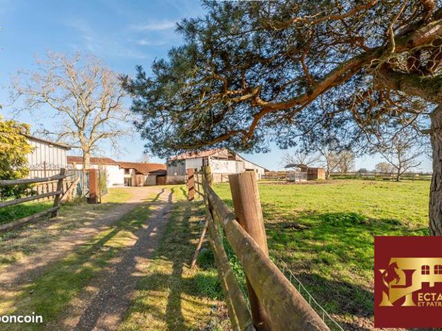 Propriété 8 pièces 204 m²